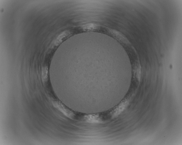 X0000080730660200612151225