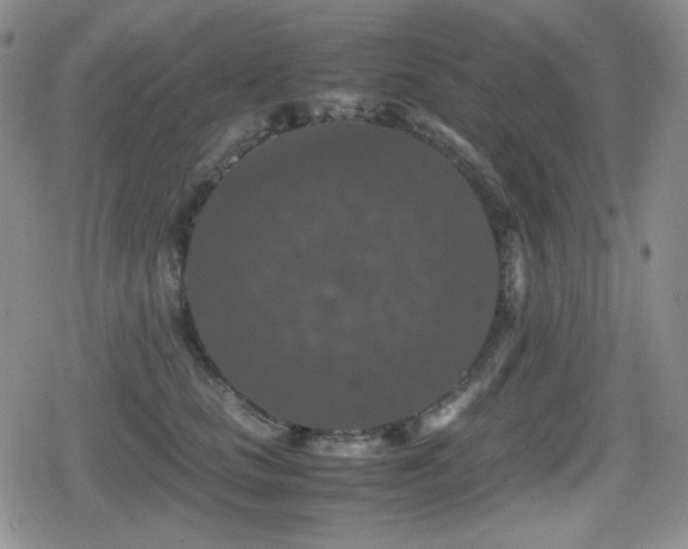 X0000080730661200612151225