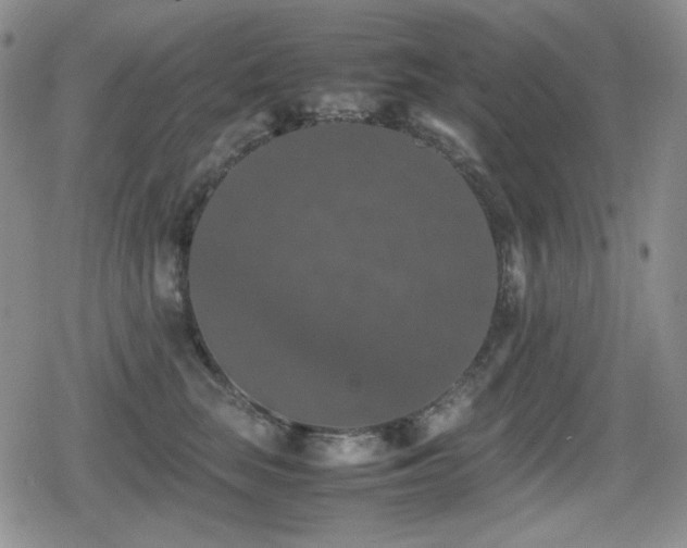 X0000080730663200612151225