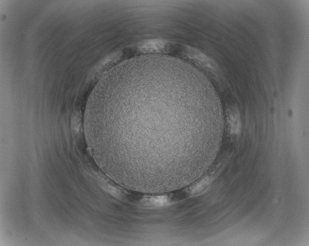 X0000080730665200612151225