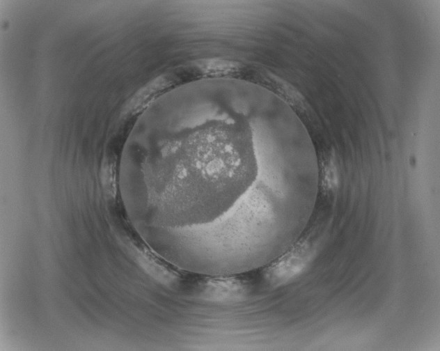 X0000080730666200612151225