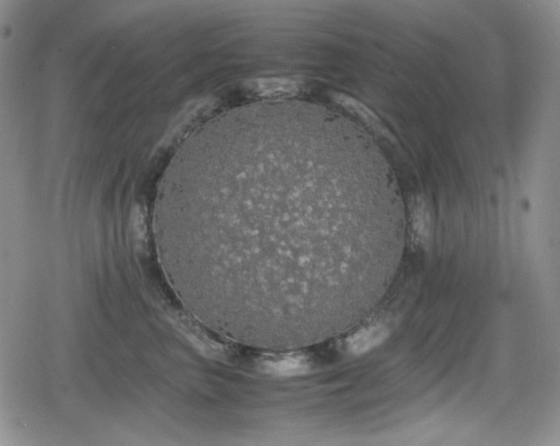 X0000080730667200612151225