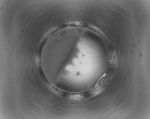 X0000080730669200612151225