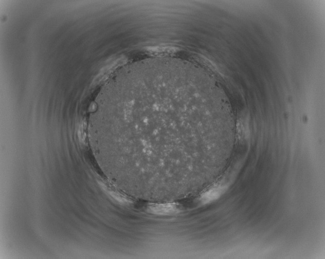 X0000080730671200612151226