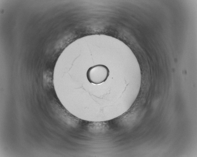 X0000080730672200612151226