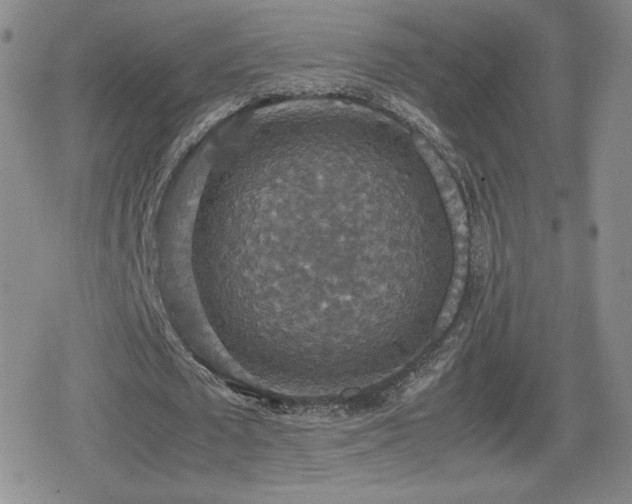 X0000080730673200612151225