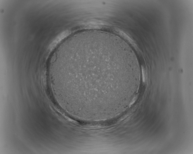 X0000080730675200612151225