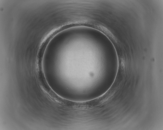 X0000080730676200612151225