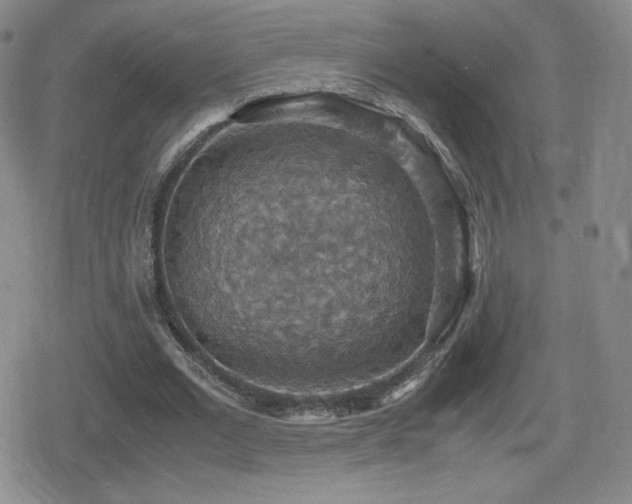 X0000080730677200612151225