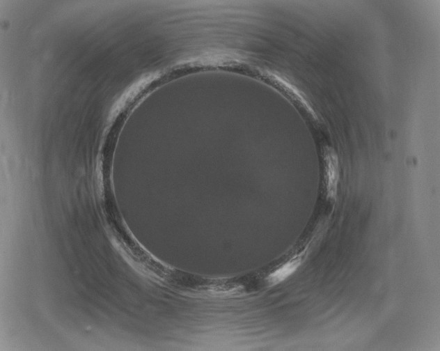 X0000080730678200612151225