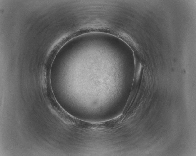 X0000080730680200612151225