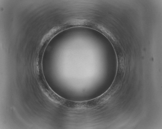 X0000080730682200612151225