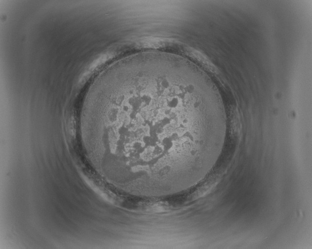 X0000080730683200612151225