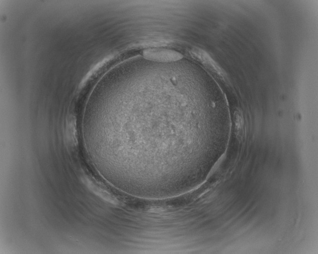 X0000080730684200612151225