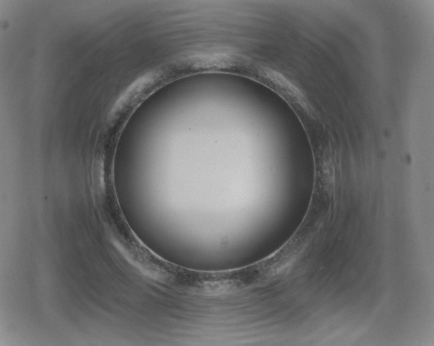 X0000080730686200612151225