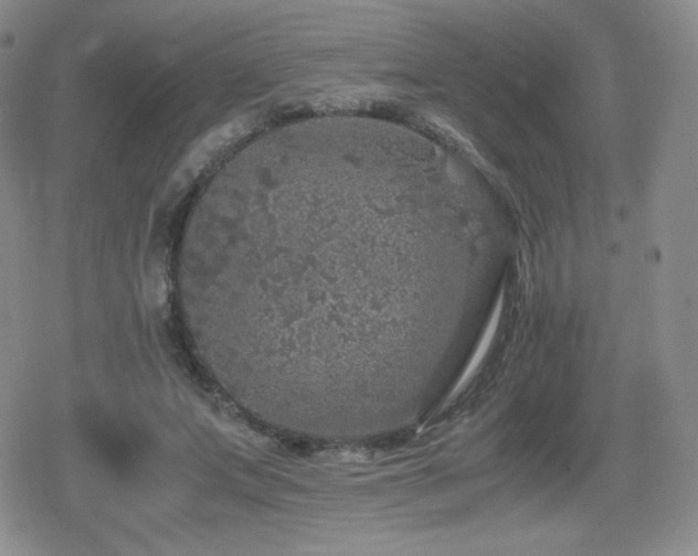 X0000080730687200612151225