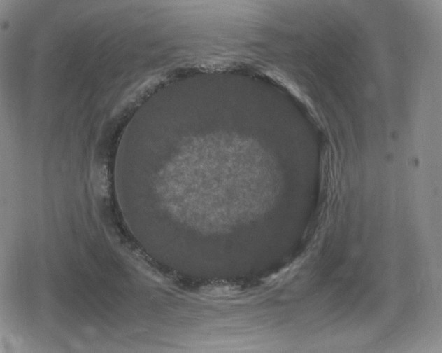 X0000080730689200612151224