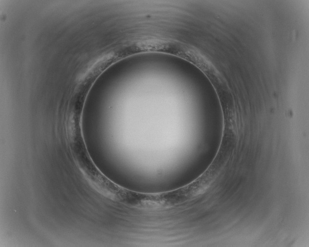 X0000080730690200612151224