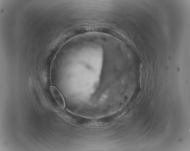 X0000080730691200612151224