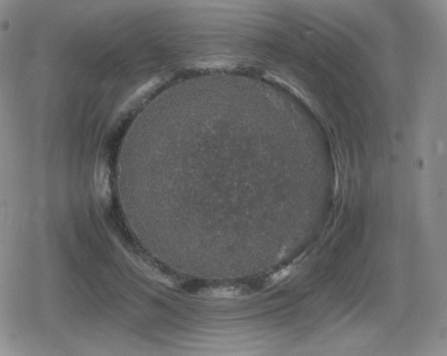 X0000080730692200612151224