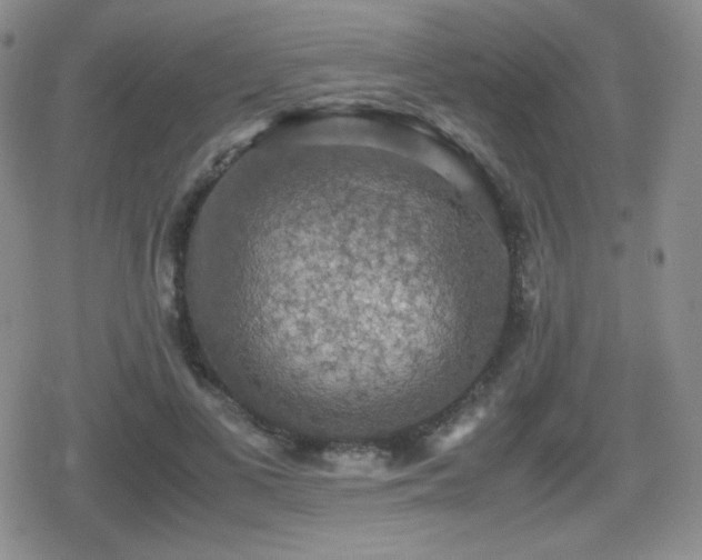 X0000080730693200612151224