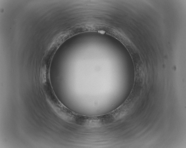 X0000080730694200612151224