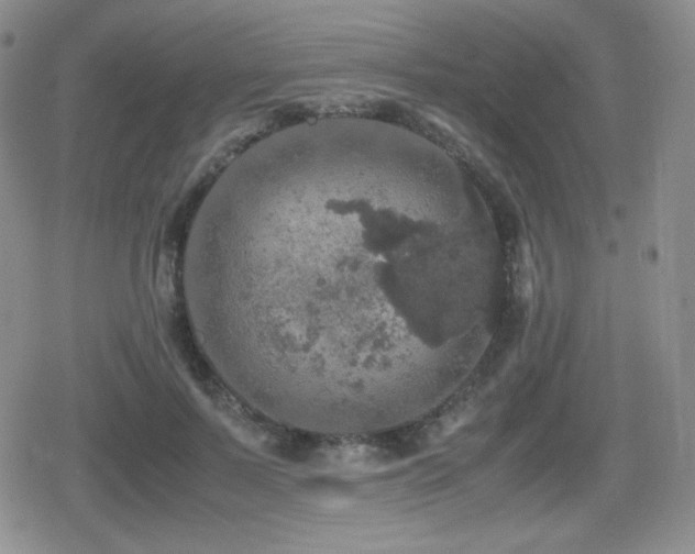 X0000080730695200612151224