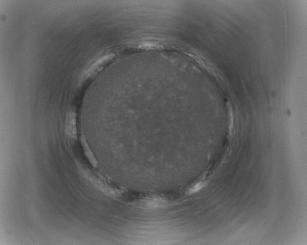 X0000080730696200612151224