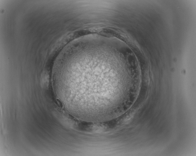 X0000080730697200612151224