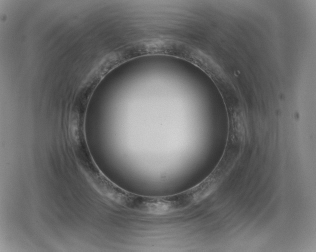 X0000080730698200612151224