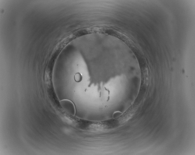 X0000080730699200612151224