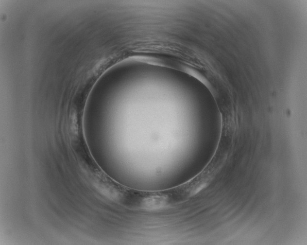 X0000080730700200612151224