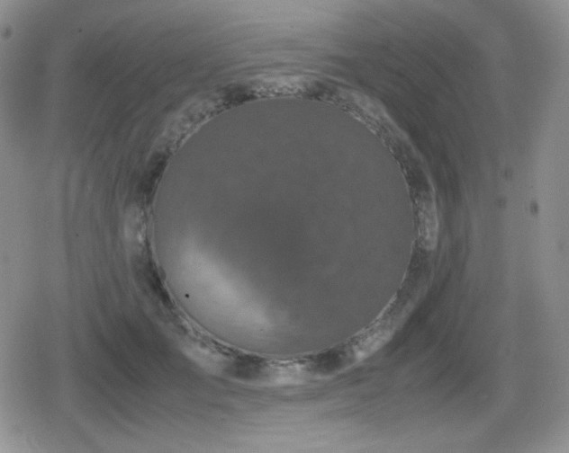 X0000080730701200612151224