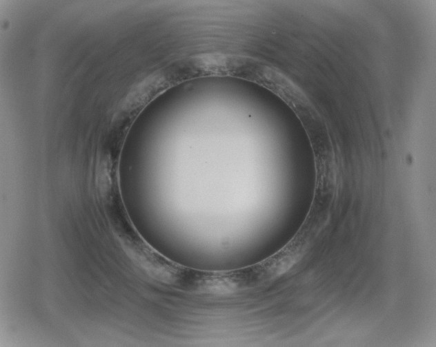 X0000080730702200612151224