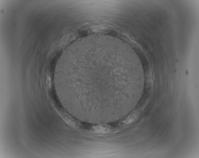 X0000080730703200612151224