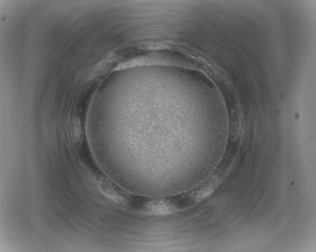 X0000080730704200612151224