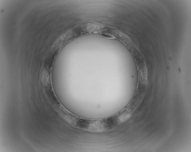 X0000080730705200612151224