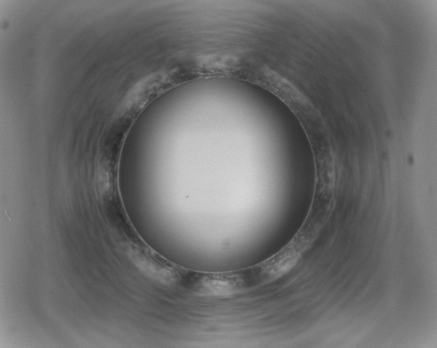 X0000080730706200612151224