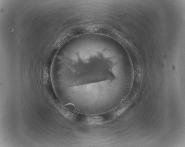 X0000080730707200612151224