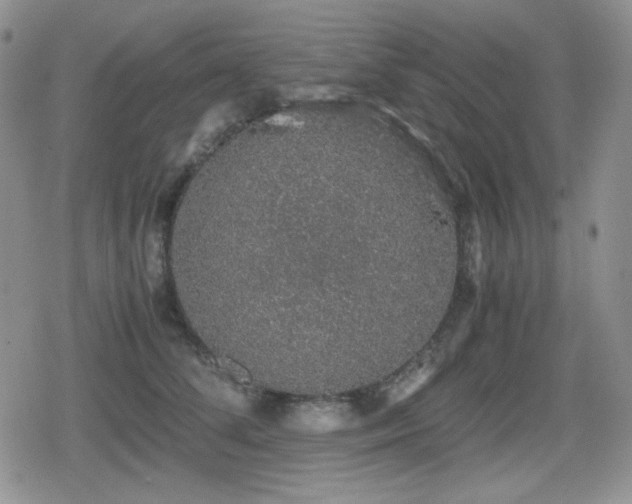 X0000080730708200612151224