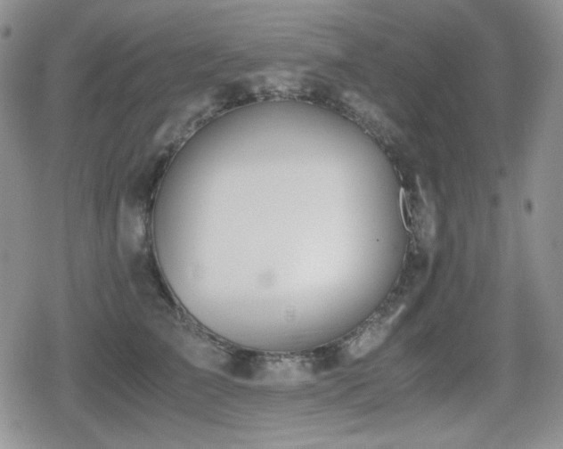 X0000080730709200612151224