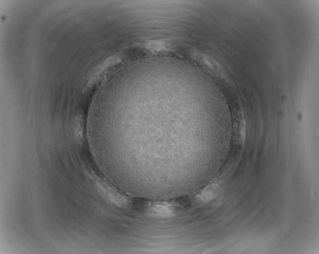 X0000080730710200612151224