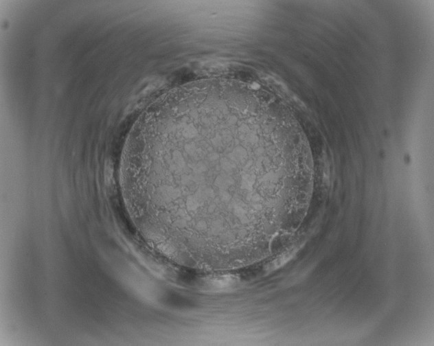 X0000080730711200612151224