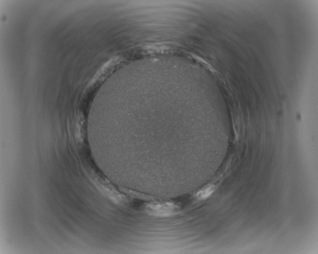 X0000080730712200612151224