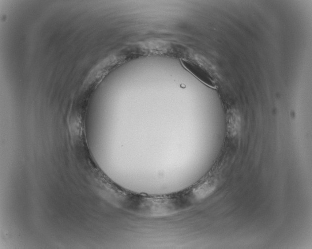 X0000080730713200612151224