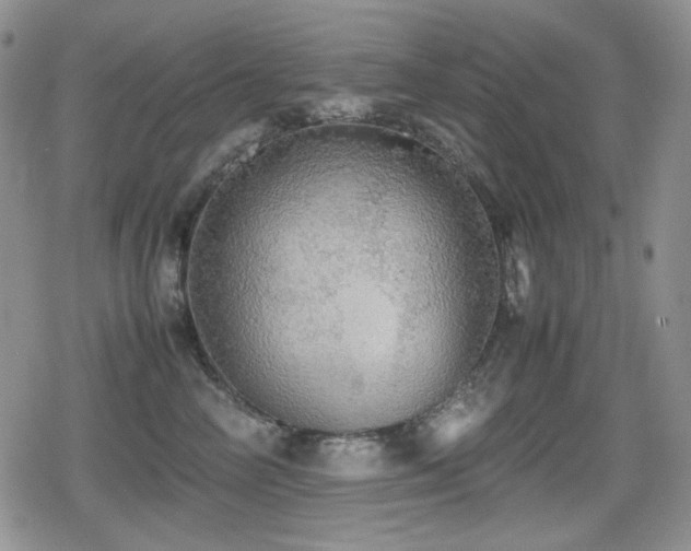 X0000080730714200612151224