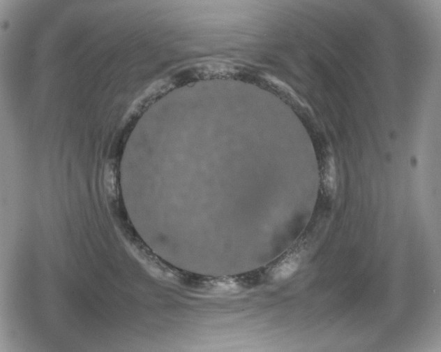 X0000080730715200612151224