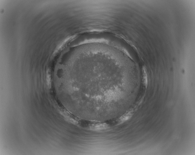 X0000080730716200612151224