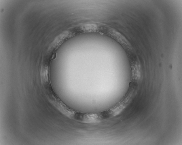 X0000080730717200612151224