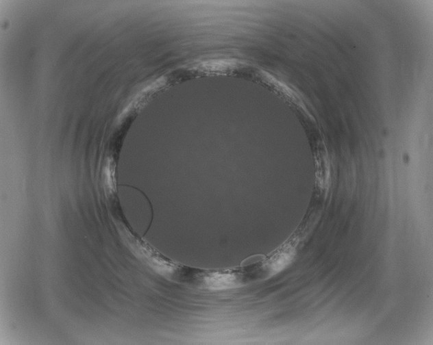 X0000080730718200612151224